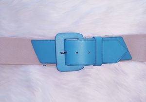 Blue and Beige Belt
